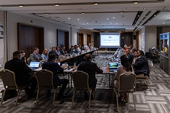 IISG Regional Pillar Support Group Meeting for Pillar 1 – WBCTi Skopje, North Macedonia 24 – 25 June 2025